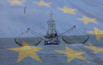 Consultazione europea sulla regolamentazione della pesca