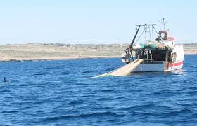 Fermo pesca a strascico dal 15 settembre