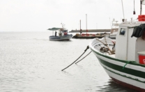 Fondo Europeo per gli Affari Marittimi, la Pesca e l’Acquacoltura (FEAMPA), pubblicati gli avvisi Azione 1, 2 e 3